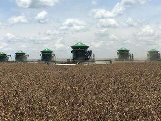 Produção de soja avançou em área, mas caiu em produtividade. (Foto: Agro A/Arquivo)