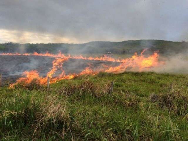 Mato Grosso do Sul registrou 382 focos de calor na &uacute;ltima semana, diz Inpe