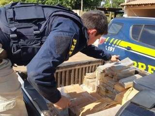 Policial fazendo a contagem dos tabletes da droga. (Foto: Divulgação) 