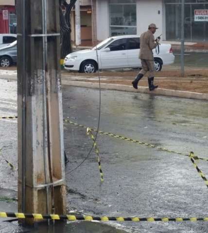 Em Coxim, temporal arranca &aacute;rvores e mobiliza Bombeiros e Defesa Civil