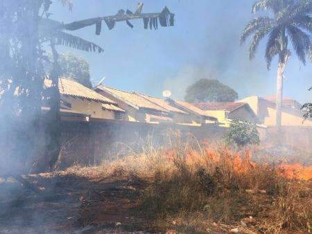 Inc&ecirc;ndio e enxame de abelha aterrorizam moradores do Jardim S&atilde;o Louren&ccedil;o