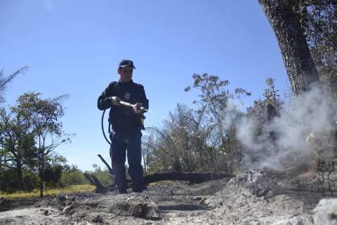 Incêndio destrói mais um hectare do Parque Ecológico Anhanduí 