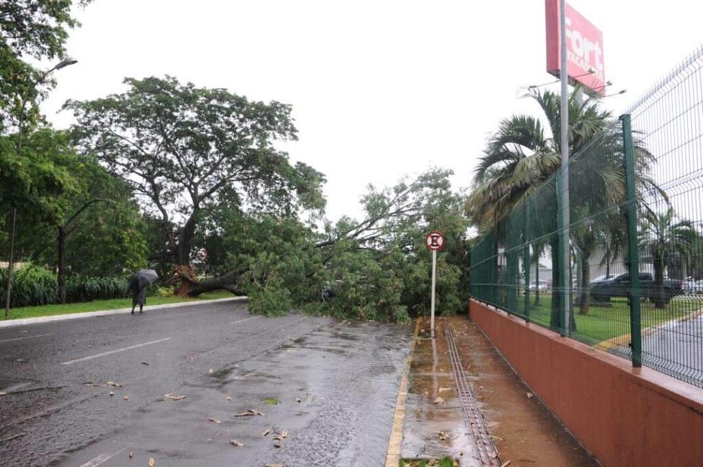 Na Avenida Capital, lugar que une da quebrada aos topzera volta à ativa -  Diversão - Campo Grande News