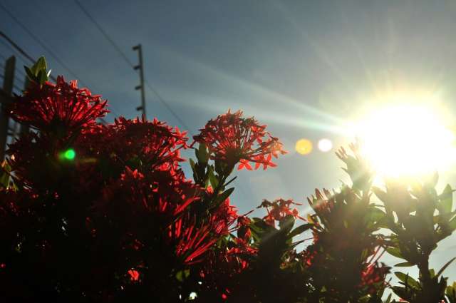 S&aacute;bado amanhece com c&eacute;u aberto e calor em Campo Grande