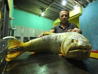 Edson trabalha com peixes há mais de 10 anos. (Foto: Alcides Neto)