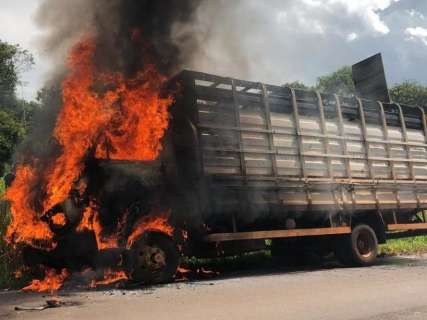 Caminhão pega fogo e motorista é obrigado a soltar animais na MS-276