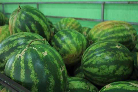 Quilo da melancia sobe 11% enquanto quiabo fica mais barato na Ceasa