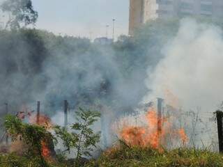 Fumaça causada pelo fogo chegou a atrapalhar motoristas (foto: Pedro Peralta)