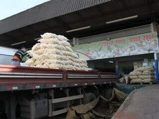 Box na Ceasa recebe carregamento de batatas nesta quarta (Foto: Saul Schramm)
