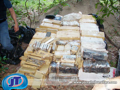  Apreens&atilde;o de maconha em Parana&iacute;ba chegou a quase duas toneladas 