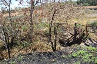 Área queimada em Angélica. (Foto: Divulgação PMA)