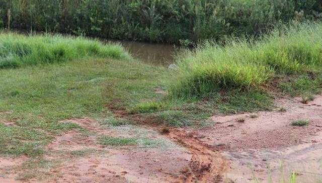 Policial aposentado &eacute; encontrado morto em matagal 