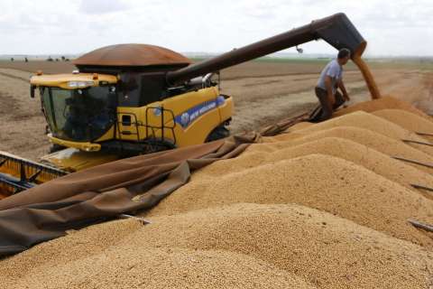 Produção de grãos é afetada por falta de chuva e queda chega a 9,4%