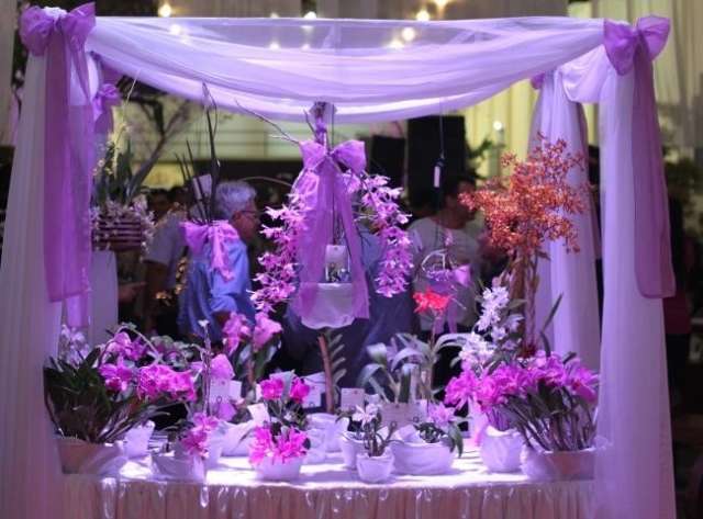 Exposi&ccedil;&atilde;o nacional de orqu&iacute;deas tem garantida data no anivers&aacute;rio da Capital