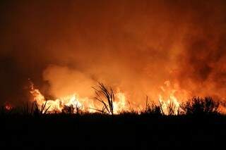 Incêndio em lavoura de cana em Dourados, agora à noite (Foto: Eliel Oliveira)