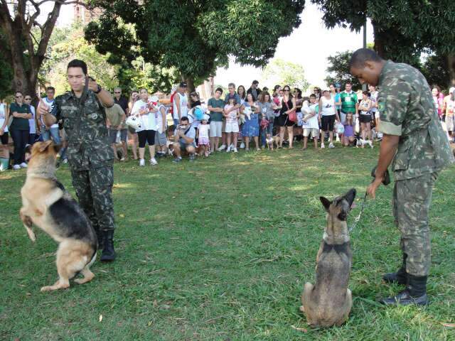  Parque do S&oacute;ter pode virar &aacute;rea permanente para passeio com c&atilde;es