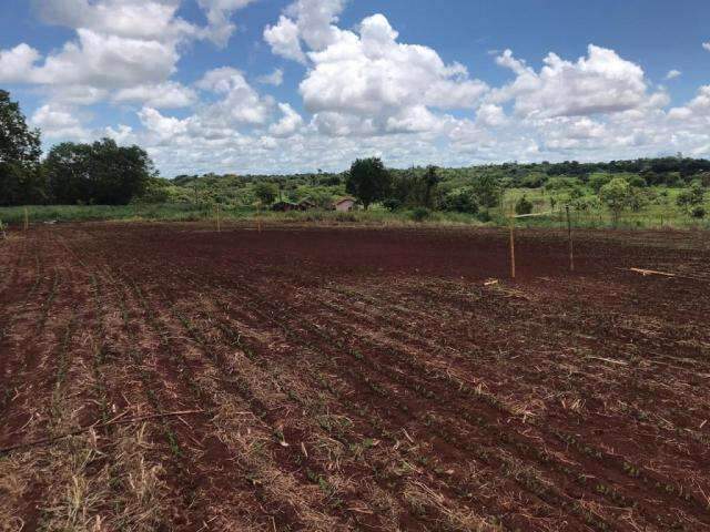 Campo de futebol em lavoura agrava tens&atilde;o entre &iacute;ndios e sitiantes