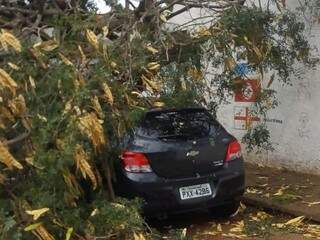 Três carros estacionados em frente a Escola Estadual João Dantas foram atingidos pela(Foto: Divulgação/Defesa Civil)