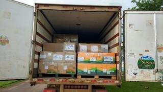 Caminh&atilde;o carregado com mais de 12 toneladas de agrot&oacute;xico &eacute; apreendido na BR-163