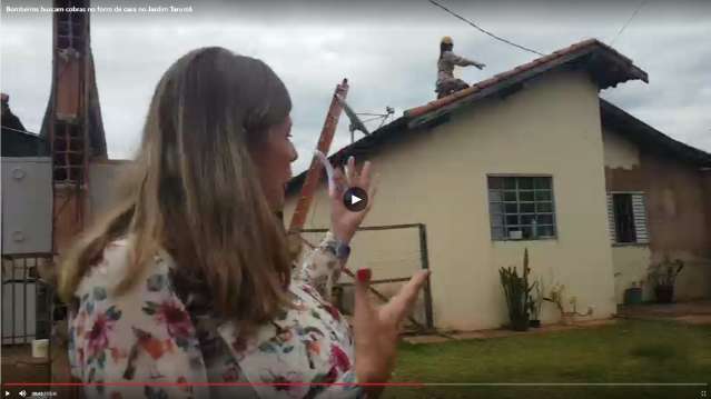 AO VIVO: bombeiros resgatam cobra em residencial no Tarum&atilde;