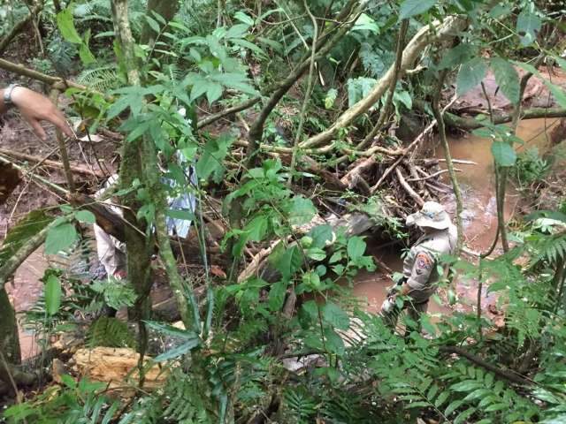 Corpo &eacute; encontrado no leito de rio em avan&ccedil;ado estado de decomposi&ccedil;&atilde;o 