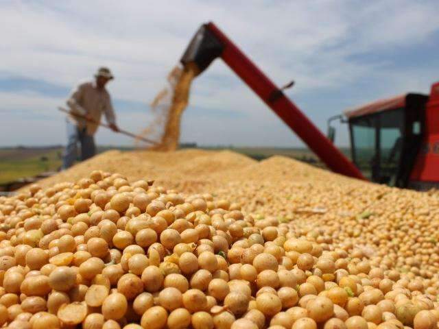 MS vai sediar pela primeira vez a Abertura Nacional da Colheita de Soja