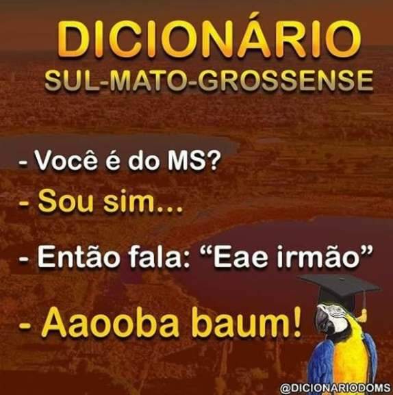 G1 - Escritor lança dicionário com mais de 1,4 mil palavras e expressões de  MT - notícias em Mato Grosso