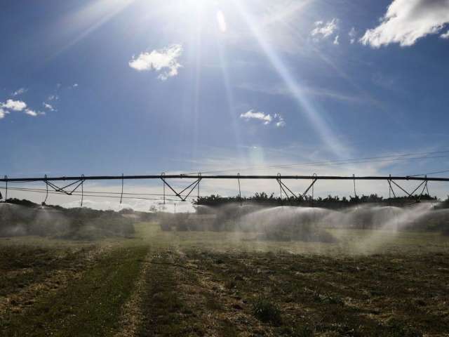 Termina hoje prazo para produtores aderirem ao Refis Rural