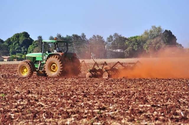 Produtores ter&atilde;o que replantar 60 mil hectares de soja por causa da seca