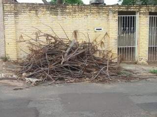 Pedaços de árvore foram deixados em calçada após corte. (Foto: Direto das Ruas)
