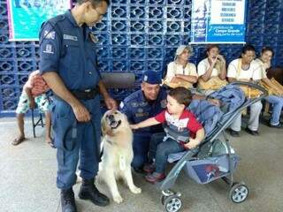 Max na ativa, se abre todo para os carinhos. (Fotos: Arquivo Pessoal)