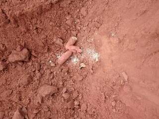 Artefatos foram encontrados às margens de estrada. (Foto: Divulgação/Bope)