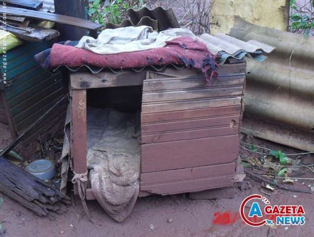 Jovem vai responder na justi&ccedil;a por matar cachorro da m&atilde;e, em Amambai