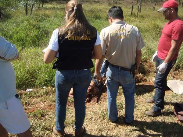  Morre idoso ap&oacute;s ser arrastado por caminh&atilde;o na BR-163