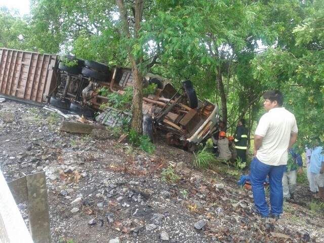 Caminhão que transportava gado tomba ao fazer curva na BR 262