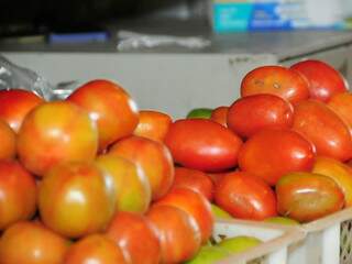 Preço do tomate dobrou por conta do frio. (Foto: Rodrigo Pazinato)