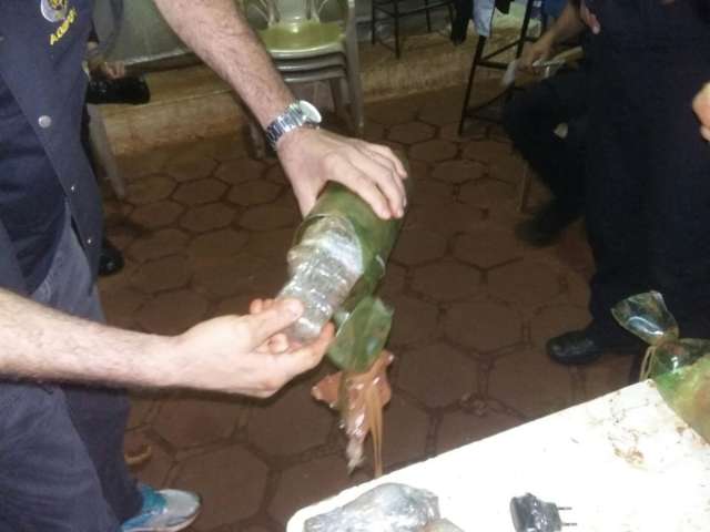 Agentes encontram 19 celulares jogados sobre muro de penitenci&aacute;ria