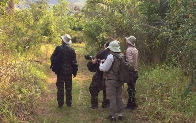 Uma imers&atilde;o fotogr&aacute;fica pelo Pantanal do Amolar