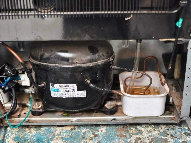 O risco de ser v&iacute;tima da dengue pode estar onde voc&ecirc; menos imagina