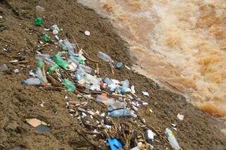 Lixo acumulado em margem do Córrego Prosa (Foto: Marcos Ermínio)