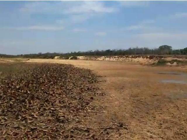 B&uacute;falo &ldquo;atolado&rdquo; em rio do Pantanal chama aten&ccedil;&atilde;o para seca na regi&atilde;o