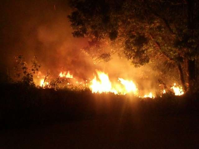 Inc&ecirc;ndio devasta parque ecol&oacute;gico em Aquidauana