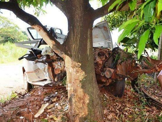 Veículo fica destruído ao sair da pista e bater em árvore