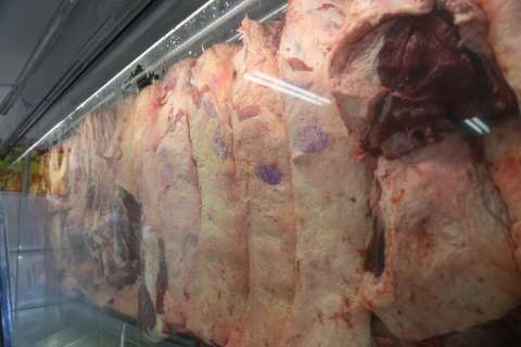 Mato Grosso do Sul exportou 9,4% do total de carne bovina do país em julho