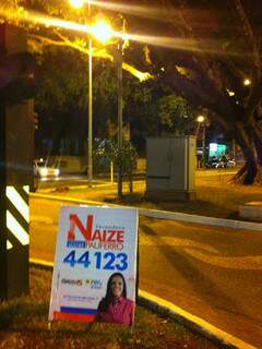 Canteiro da avenida Afonso Pena próximo à Rui Barbosa.