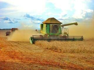 Safra de milho e soja impulsionaram a economia este ano. (Foto: Divulgação)