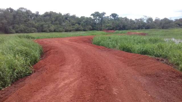 Fazendeira  &eacute; autuada em R$ 10 mil por degradar o meio ambiente 