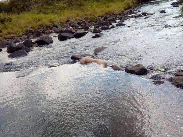 Mulher encontrada morta em rio n&atilde;o tinha envolvimento com drogas, diz fam&iacute;lia