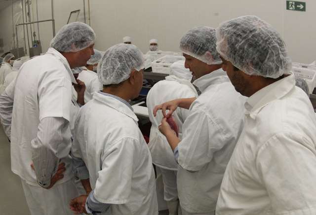 Reinaldo fala em investir na produ&ccedil;&atilde;o de peixes em abertura de frigor&iacute;fico