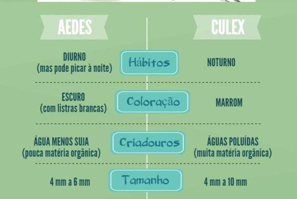 Cientistas da Fiocruz concluem que pernilongo comum n&atilde;o transmite zika